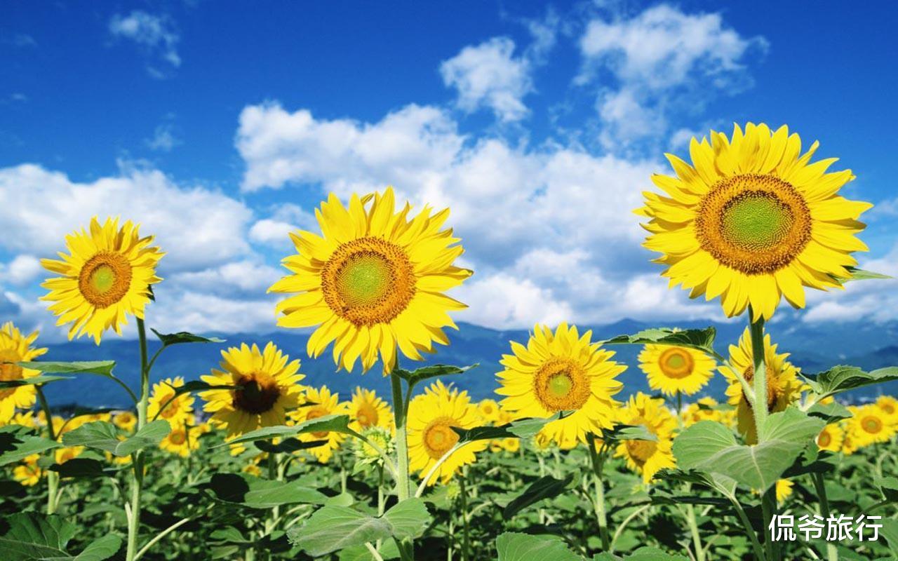 「生肖」7月2号财运一路飙升，好事缠身，注定出人头地的3生肖，生活幸福