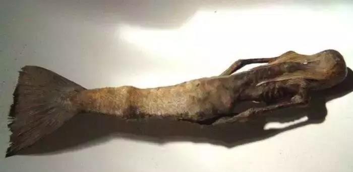 『』5种世界上最“诡异”的神秘生物, 最后一种已证实存在, 非常可怕!