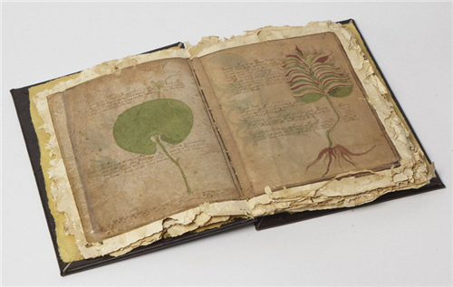 伏尼契：世界上最神秘的3种奇特物体，科学无法解释，曾被当作是外星产物