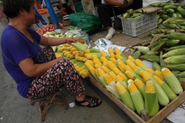 玉米|玉米与它一起煮，堪比天然泻药！或许能排出黑臭宿便，瘦出小蛮腰