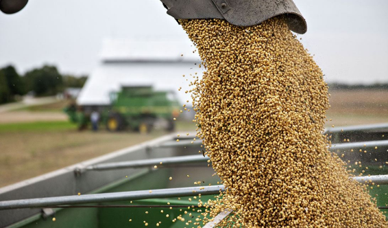 進口的大豆價格持續增漲，中國卻仍堅持購買，美國有“苦”說不出-圖4