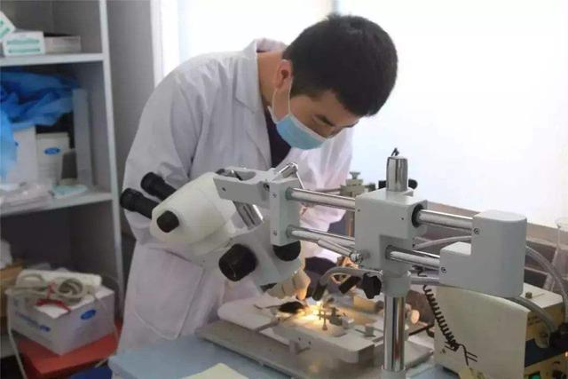 |感觉“理科生”已经把“文科生”打击得毫无还手之力了？