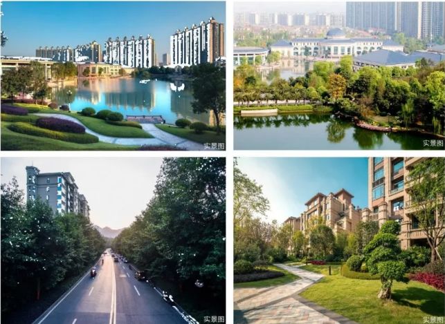 返乡置业季|全能配套大城 启幕精彩生活