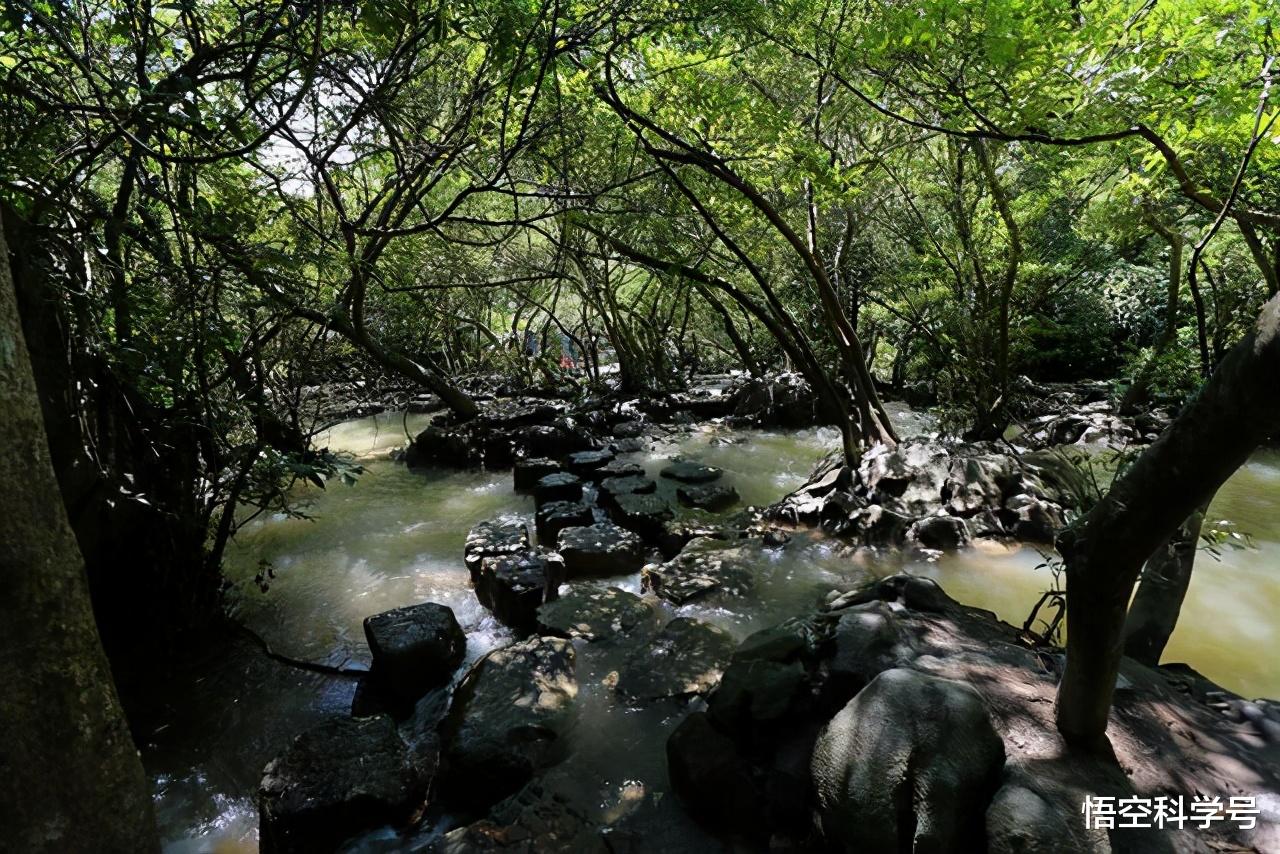 蟒蛇|蛇最怕什么药会闻到就跑?哪里蛇最多?