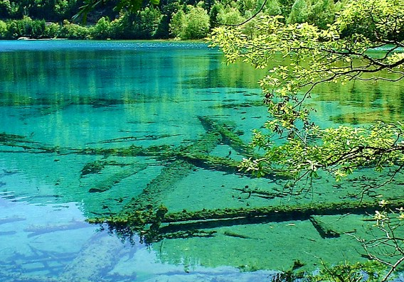 「」7月份横财不断，4属相大喜到，福运来，贵人相助，喜讯接二连三