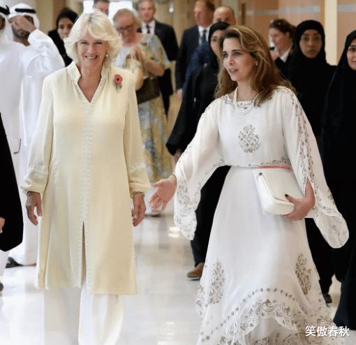 迪拜王室：800億離婚，40年不露面的大王妃，兄弟為表妹反目-圖6