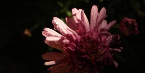 「绝情」别小瞧这些星座的决断力，可以情深似海，也能绝情离去，很霸气