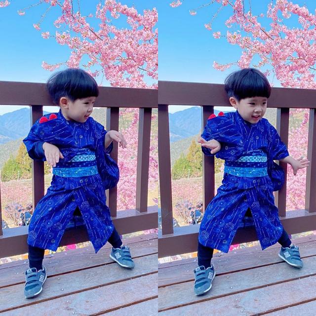 迈哥比林志颖的双胞胎儿子小一些,估计也就三岁,萌态十足.