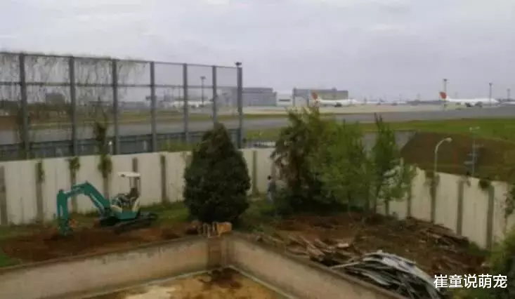 最有“远见”钉子户，在机场跑道上住50年，拆迁款涨了9亿！