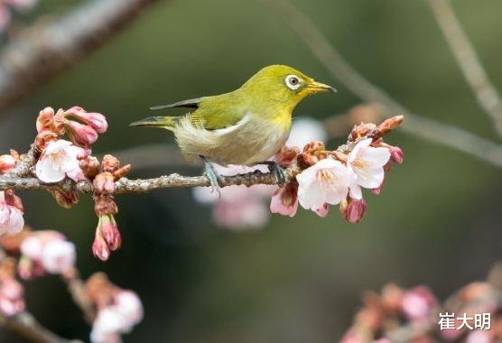 『属兔』7月中旬得吉星相照，4属相大吉大利，福星眷顾，生活越过越富裕