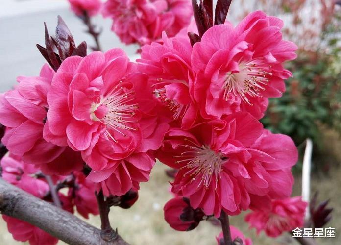 生肖▲6月19号，六六大顺，八方来财，3生肖财神进门，喜事连连