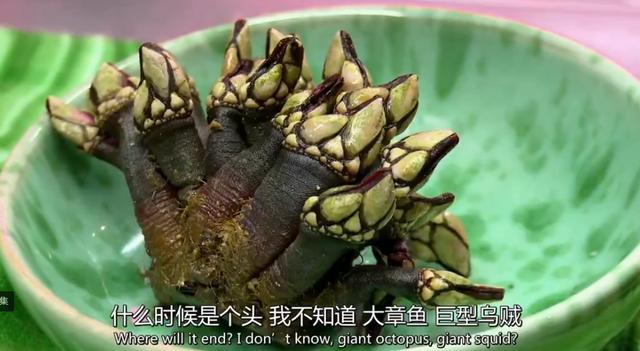 富翁|亿万富翁平时都在吃什么？贫穷限制了我的想象！