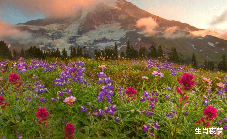 射手座|11月中旬，邂逅新欢，忘记前任，不再纠结过往，拥抱更好明天