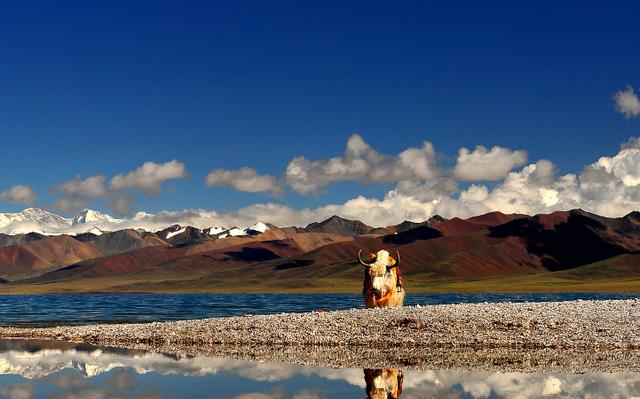 青海湖 国内“最美的”四大湖泊，个个胜似“人间仙境”，你最喜爱哪一个