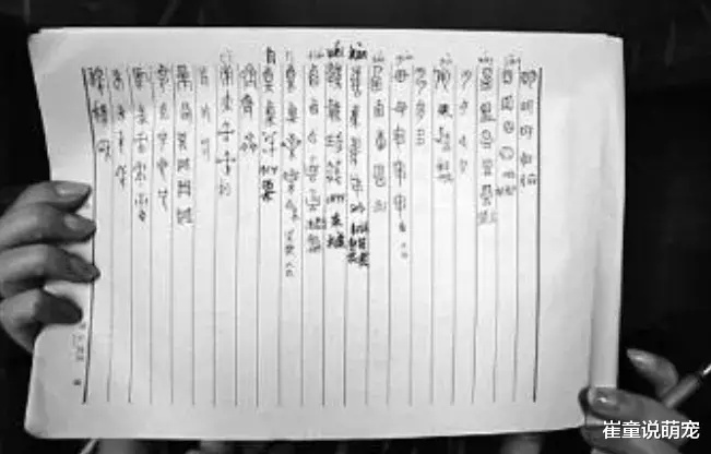 首次用甲骨文写高考作文的他，6分被名校破格录取，如今怎样了？