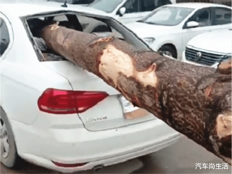 大众朗逸|?大众朗逸被树桩贯穿车身，前后玻璃都干碎，A柱却让人感到欣慰！