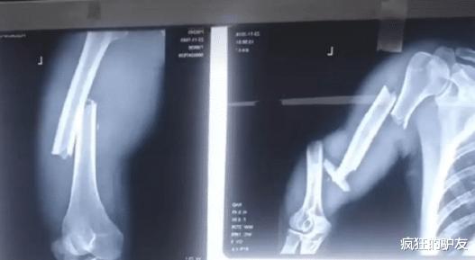 数学|“自从我说0.5乘0.8等于0.4被喷以后，就再也没跟别人争论过任何事”智商感人啊哈哈