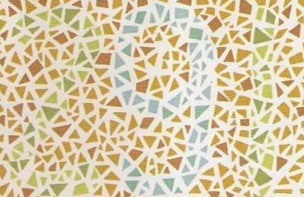 车管所|车管所的测试图,如果这几张看不清,可能很难考到驾照