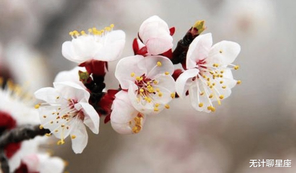 |职场上大有可为的4个星座，扶摇直上，上升空间很大