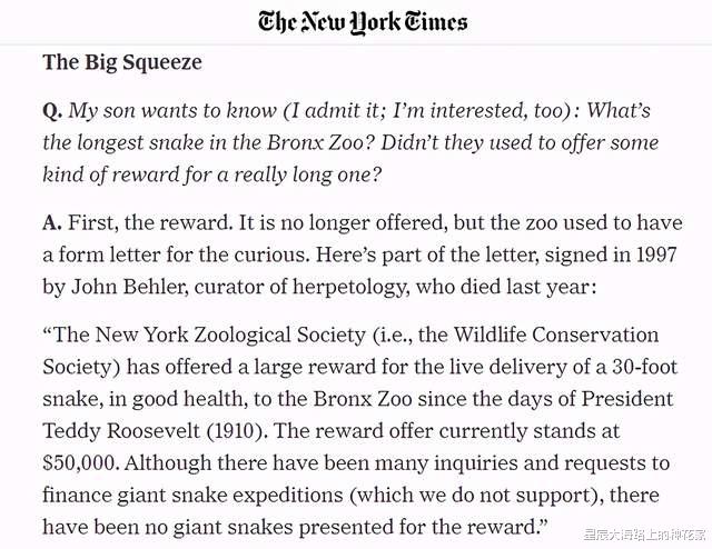 婆罗洲|世界上最大的蛇到底有多长？会超过30米吗？答案超越认知！