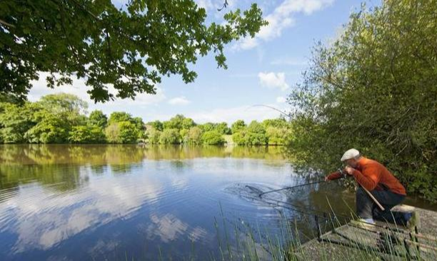 |钓鱼小药怎么用？根据不同季节来选用