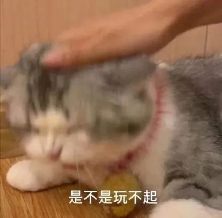 郑爽|她这次是不是有点炒过了！