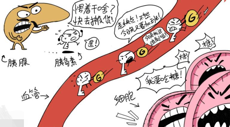 【血糖】他是伴随糖尿病全过程，是导致糖尿病并发症的罪魁祸首，注意调整这一点