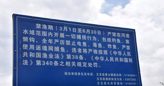 「红薯」钓鱼也违法！今年已多人被罚，这几种行为钓鱼人千万别碰
