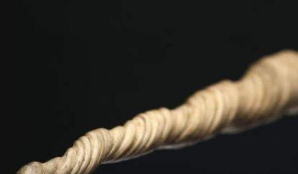 「独角鲸」世上最贵的牙齿，比黄金还要更贵重，一颗就能买下一座城堡