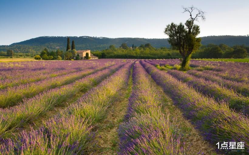 「生肖」12星座的5月运势走向,爱情运势旺,事业有成