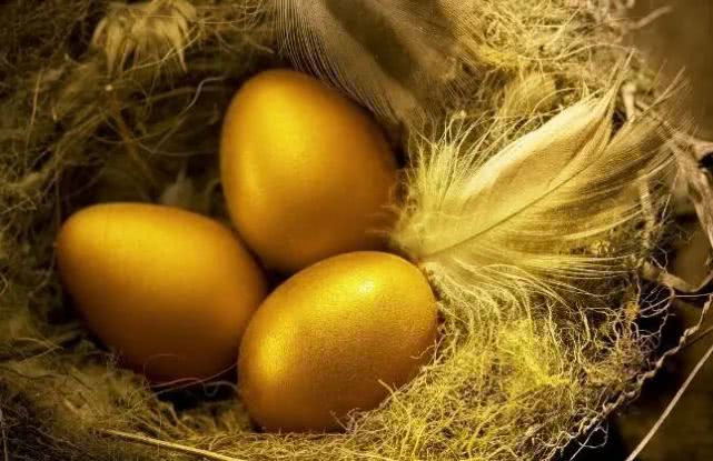 「运势」6月中旬,有贵人指路,运势突然变好,顺利大吉的属相