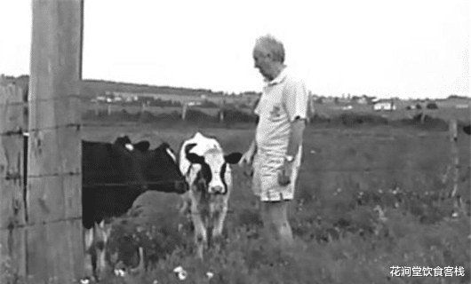 「外星人」美国屠牛事件的真相， 屠牛事件会是外星人干的吗？