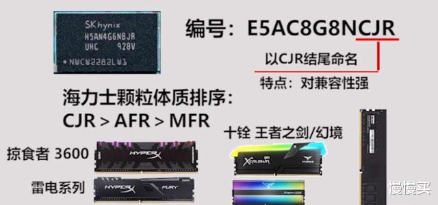 |内存条从入门到精通！想要的超频和稳定，看完保证你可以轻松选购