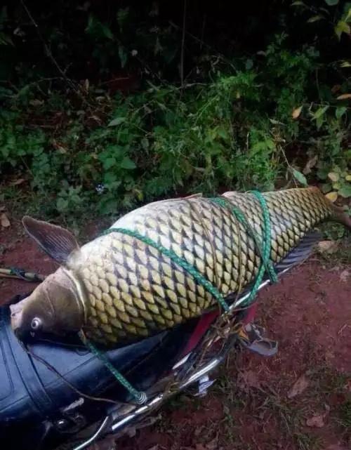 女孩|爆笑段子:想当年哥们高考失利,没能考上自己梦寐以求的大学