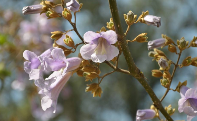 生肖|从9月中旬开始财源不断，富贵连连，收入大增的三生肖