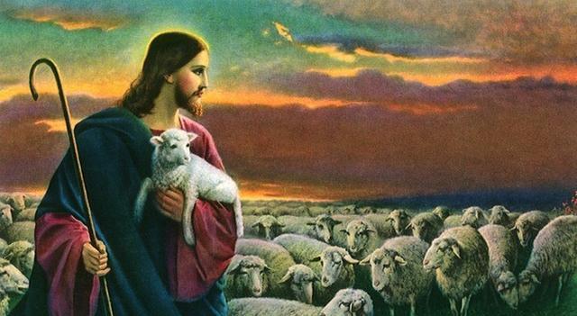 上帝的这碗毒鸡汤，谁喝了都得醉