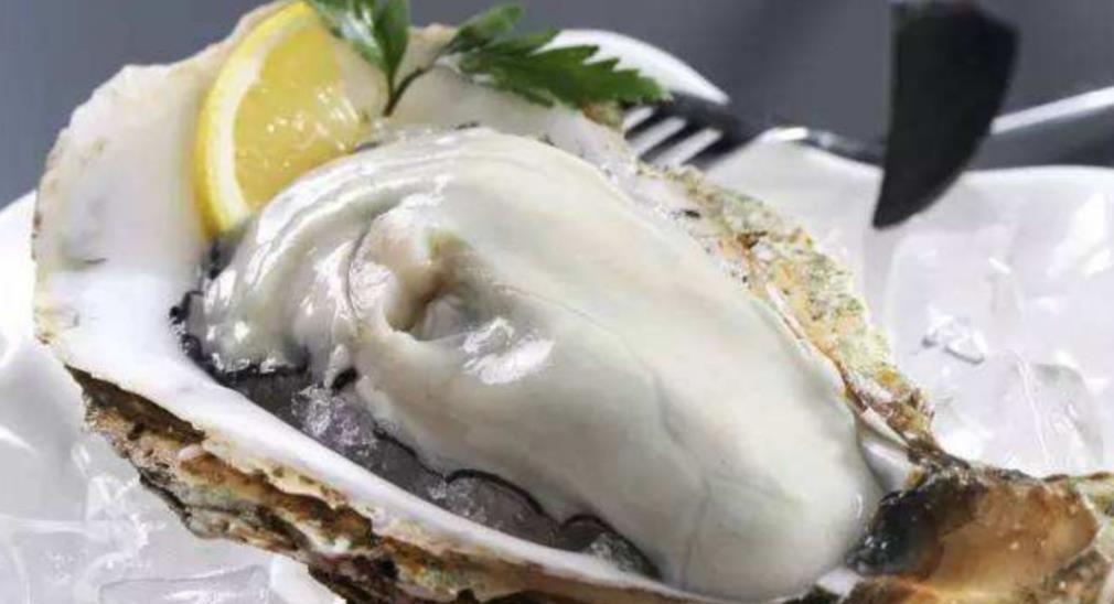 |明明长得一模一样，为何一个叫牡蛎，一个叫生蚝？弄懂后别乱买了