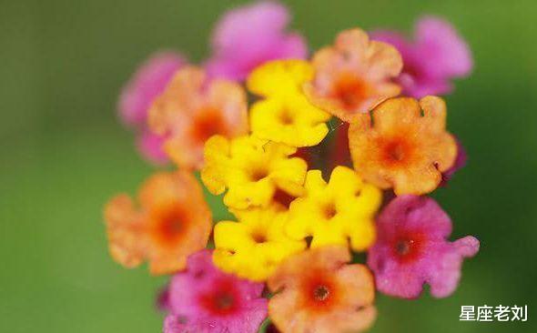 #生肖#四月份这3大生肖非常幸运,大运逢驿马,财运旺十倍,拿横财大奖