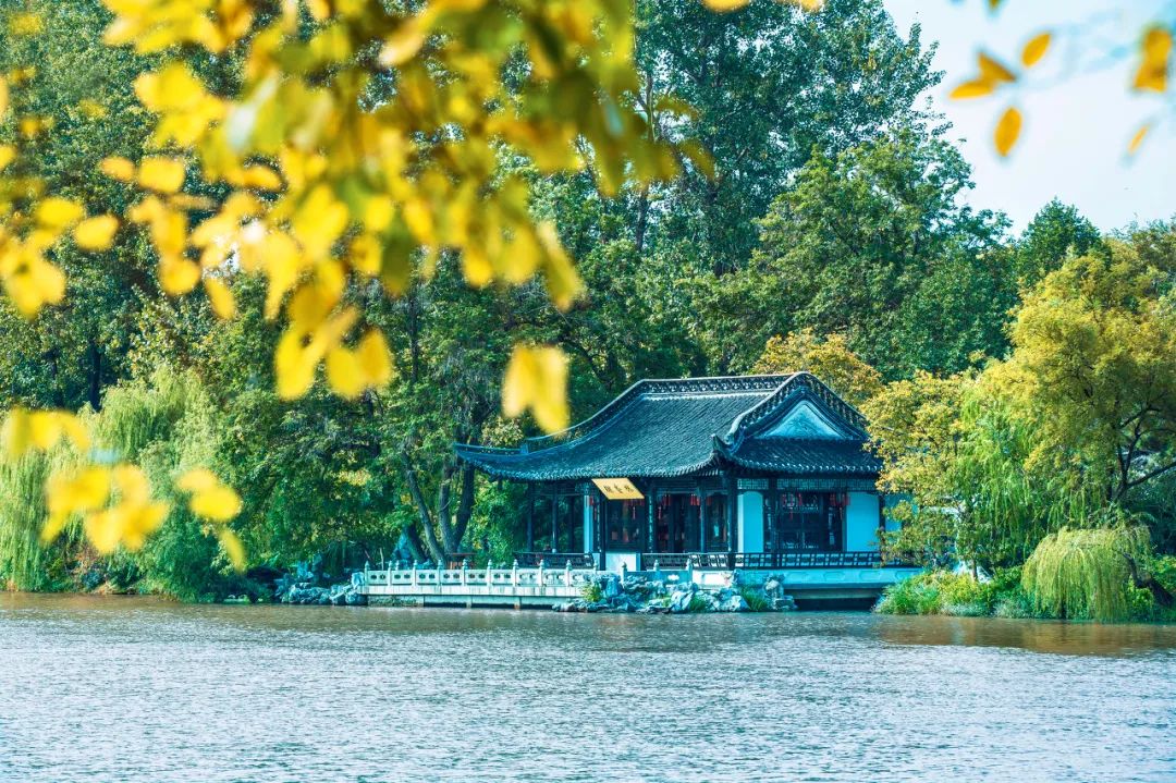 无法抗拒|比苏州秀美！原来它才是江南秋景第一，正适合去过几日慢生活！