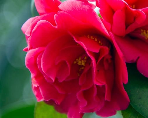 万事如意|11月中旬，4属相好运加身，财气亨通，吉星高照，万事如意