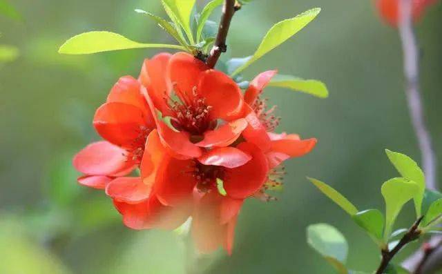 []7月事业顺风顺水，大吉大利，财路宽广，皇天不负有心人的属相