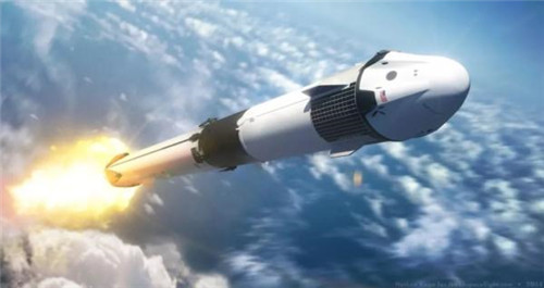 美国将2487只水母送入太空,繁殖到6万只后,科学家发现不太对劲