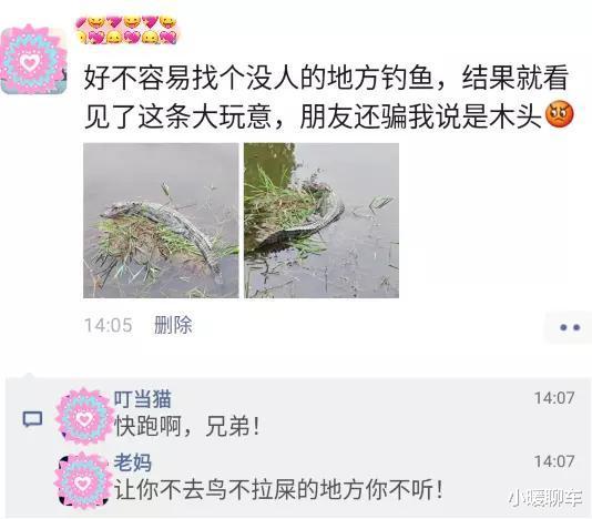 |“今天遇到条大鱼，我要如何把它弄上来？”网友：它自己会来找你的！