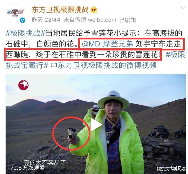 刘宇宁|真相曝光！《极限挑战》刘宇宁摘雪莲花是二级保护植物，评论却翻车用词激烈