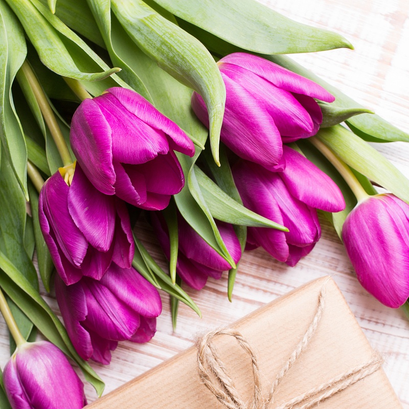 『』生肖羊：5月中旬，千万不要做的5件事，一个都别碰！