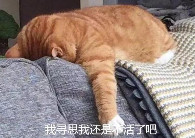 #北京市#继北京之后,又一省份的开学被紧急叫停,可能要“寒暑连放”了