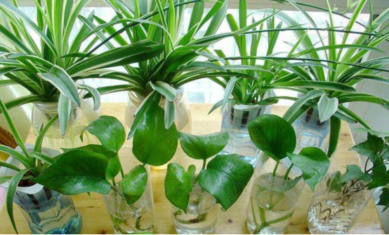 这些身体异常非重视不可，它们是甲醛中毒的表现，务必提高警惕