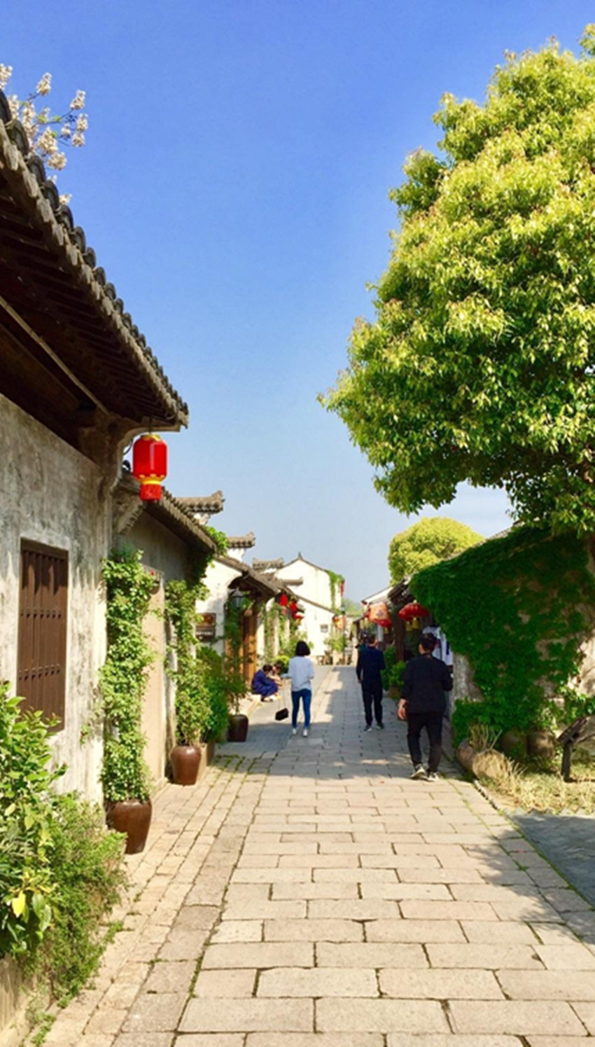 「荡口古镇」你也许不知道的江南古镇,因位于鹅湖荡口,由此而得名