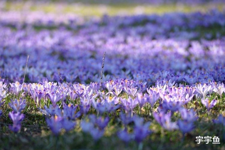 运势|9月开始贵人扶持，逢凶化吉，横财一大把，即将转富贵的四大属相