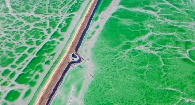 柴达木盆地:惊为天人的大西北旅游景点你去过几个?